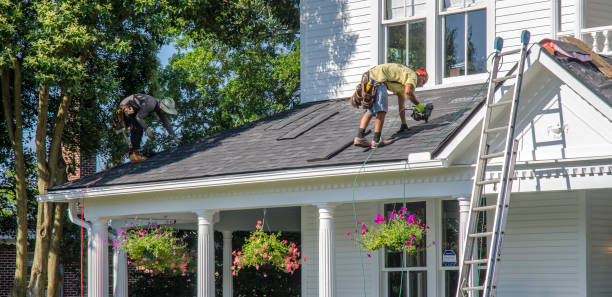 Best Roof Gutter Cleaning  in Buckhall, VA